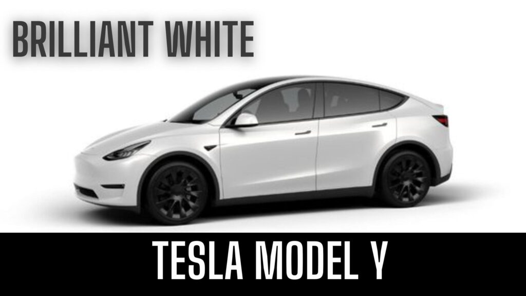 Buying Guide Ev Car Tesla Model Y In USA