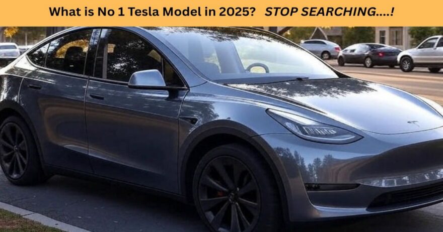Tesla-Model-Is-the-Most Popular-in-2025